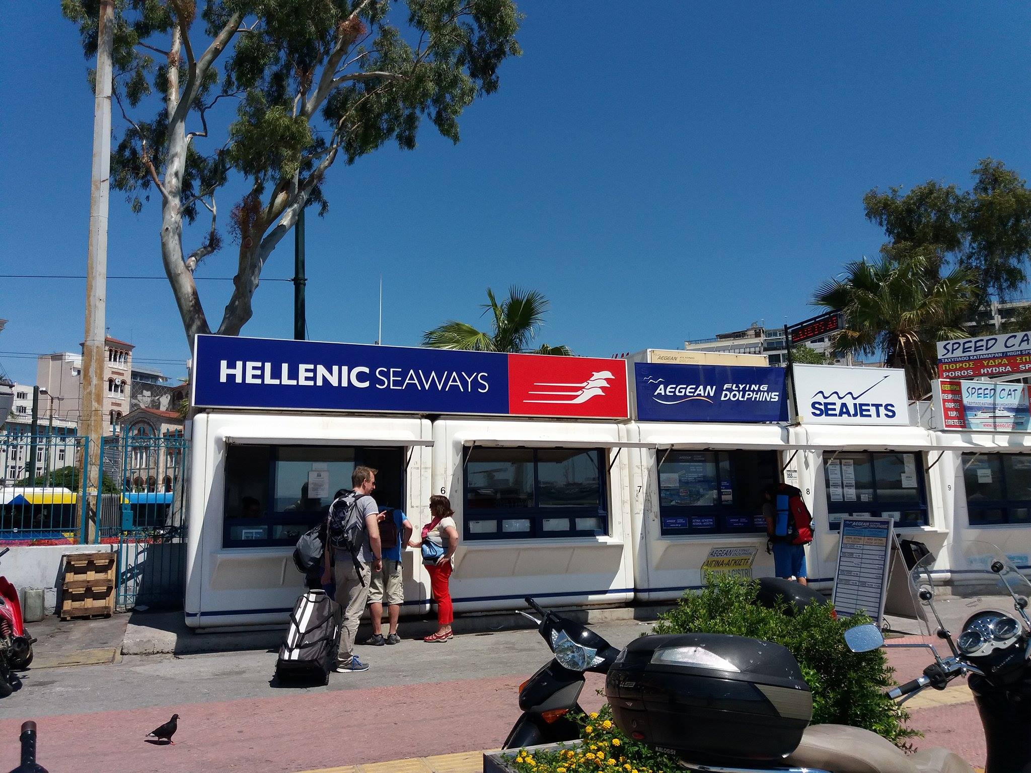 dolphins ticket office